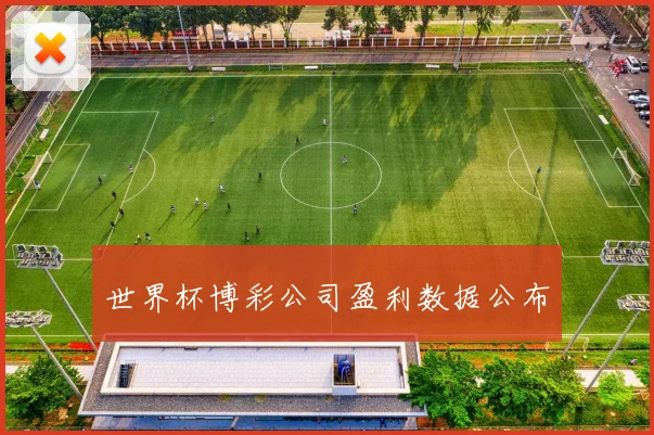 世界杯博彩公司盈利数据公布