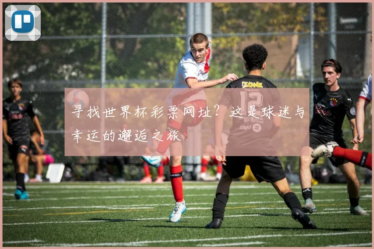 寻找世界杯彩票网址?这是球迷与幸运的邂逅之旅