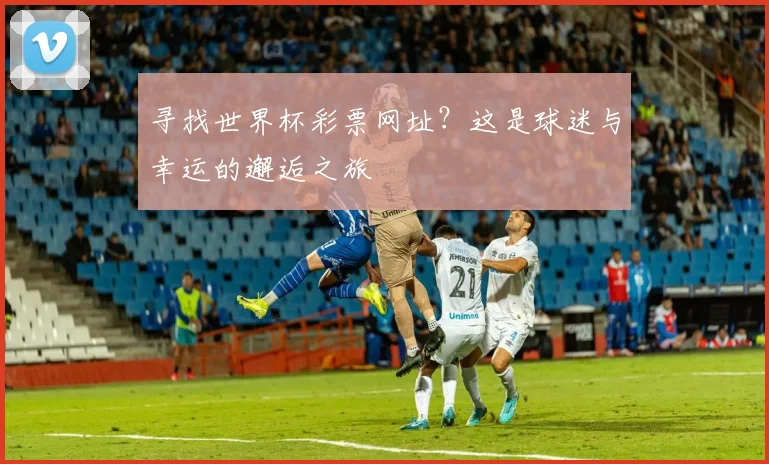 寻找世界杯彩票网址？这是球迷与幸运的邂逅之旅
