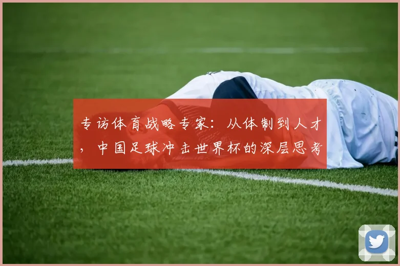 专访体育战略专家：从体制到人才，中国足球冲击世界杯的深层思考