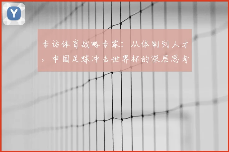 专访体育战略专家:从体制到人才,中国足球冲击世界杯的深层思考