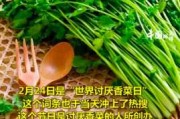 吃香菜的坏处：香菜为何叫断阳草