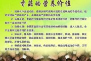 吃蘑菇对身体有什么好处?：吃蘑菇对身体有什么好处和功效