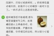 吃完榴莲后不能吃什么食物：吃完榴莲不可以吃哪些东西