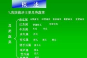 冬瓜南瓜西瓜的名字的来源：为什么叫冬瓜南瓜西瓜