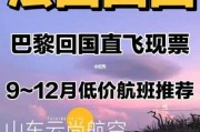 巴黎回国航班最新消息：巴黎回国航班最新消息新闻