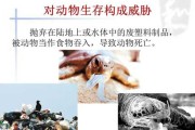 pet塑料对人体伤害有多大：pet塑料对身体的危害