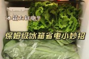 电冰箱节电妙招图片：电冰箱省电的方法,很有效哦