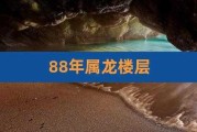 88年属龙最佳楼层是多少：88年龙选什么楼层最好