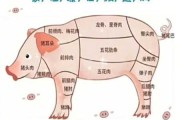 猪肉哪个部位适合烧烤：猪肉那个部位适合烧烤