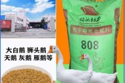 1千只鹅一天要吃掉多少饲料：1千只鹅一天要吃掉多少饲料正常