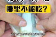 吃海兔不能吃什么?：海兔啥不能吃