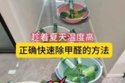 除甲醛最有效方法如下：除甲醛最有效方法权威