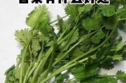 吃香菜有哪些好处啊：吃香菜有什么好处呀