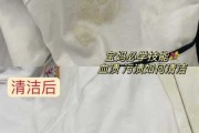 衣服上血迹怎么弄掉：衣服上血迹如何擦掉