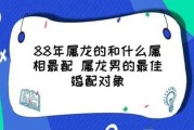 88年龙选什么楼层最好：88年龙选什么楼层最好吉祥