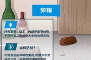 75°酒精可以杀死蟑螂卵吗：蟑螂怕75%的酒精吗