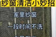 5种纱窗清洁妙招推荐：5种纱窗清洁妙招推荐一下