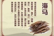 海马的功效与作用及食用方法：海马有什么作用与功效用法