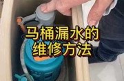 家里马桶堵了怎么办?教你1分钟轻松：家里的马桶堵了该怎么办