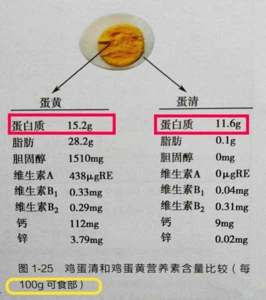 500g鸡蛋有多少蛋白质：500g鸡蛋有多少蛋白质含量