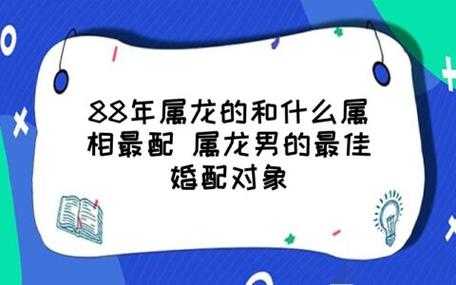 88年龙选什么楼层最好：88年龙选什么楼层最好吉祥