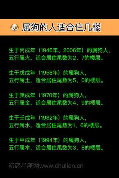 82年的狗住几楼最好：82年狗住几层好