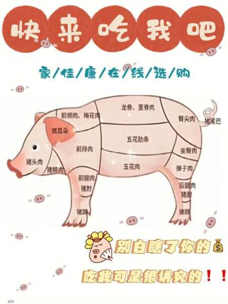 猪肉哪个部位适合烧烤：猪肉那个部位适合烧烤