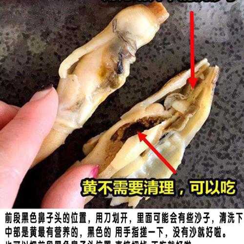 蛏子的营养价值及功效好吃吗：蛏子的功效与禁忌