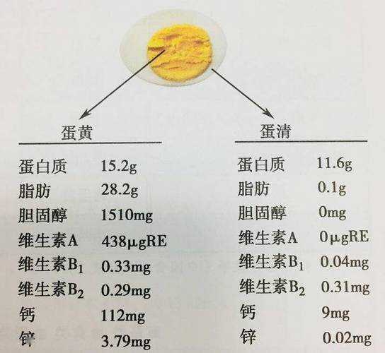 蛋黄和蛋白的营养：蛋黄和蛋白的营养价值哪个更高?