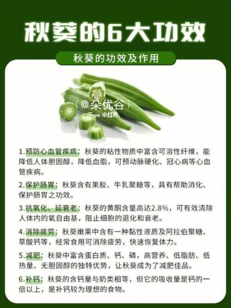 多吃秋葵有什么用：多吃秋葵有啥好处