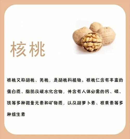 核桃的功效与作用及营养价值一：核桃的功能与功效