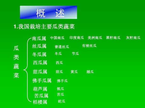 冬瓜南瓜西瓜的名字的来源：为什么叫冬瓜南瓜西瓜