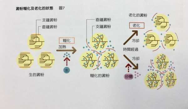 淀粉是什么化合物：淀粉属于化合物还是混合物