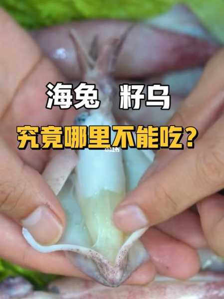 吃海兔的禁忌：吃海兔的好处