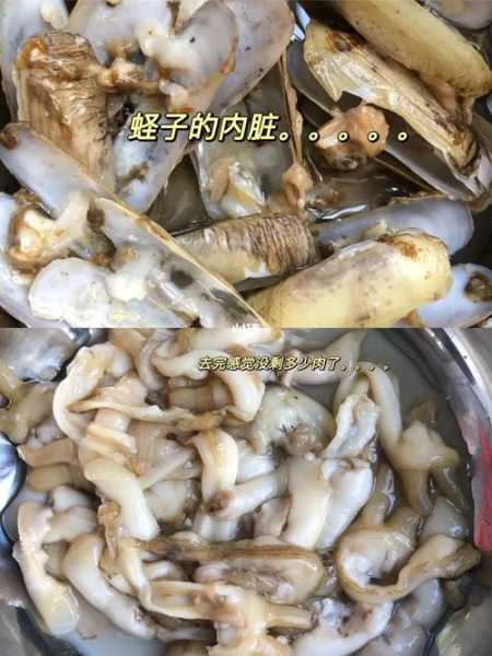 蛏子怎么洗内脏视频：怎样清洗蛏子的内脏